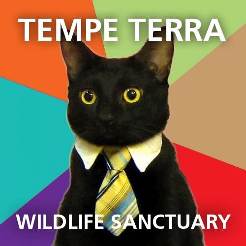 The newest wildlife sanctuary offering a home for dogs and cats in America's great Southwest.