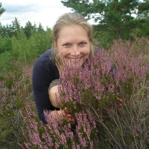 MsRozenberga's profile picture. Gardēde. Politisko notikumu vērotāja.