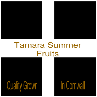 Producer of quality Cornish summer fruits. Strawberries, Raspberries, Blueberries and Blackberries. Supplying local Wholesalers, Restaurants and Shops.