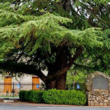 FairfieldEDC's profile picture. Bored? Look no further, Fairfield!