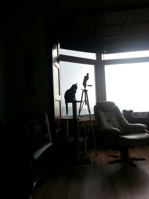 Photography (Especially Performing Arts)