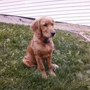 Brian Baughman - @namhguab - Twitter