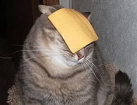 Rapapapara's profile picture. 