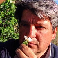 Oscar Pasanau (@opasanau) 's Twitter Profile Photo Oscar Pasanau (@opasanau) 's Twitter Profile Photo