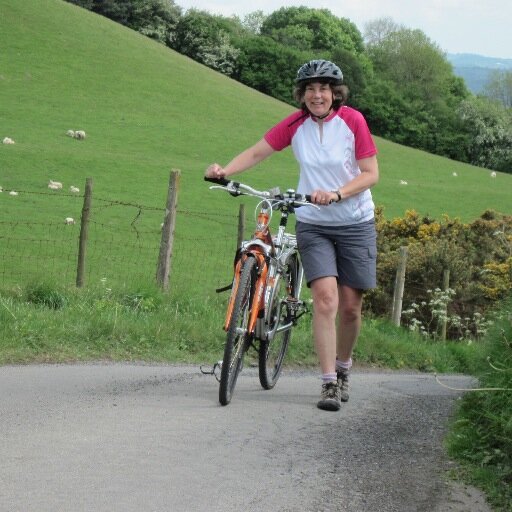 I organise cycling and walking holidays for my holiday company Wheely Wonderful Cycling in the beautiful borderlands of England & Wales