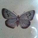 jill smith - @jillS27mar - Twitter