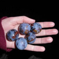 damsonplums (@damsonplums) 's Twitter Profile Photo damsonplums (@damsonplums) 's Twitter Profile Photo