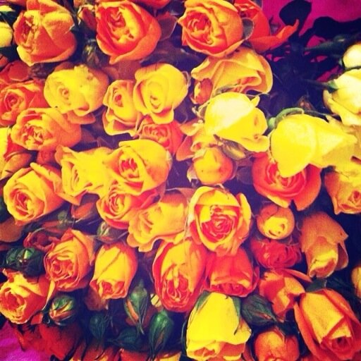 Thoughtscity's profile picture. Мысли города о сексе, моде, дружбе, и о многом другом!