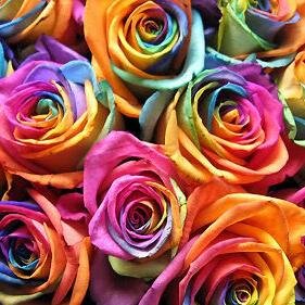 Inmamelus's profile picture. 