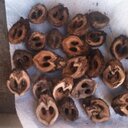 Barb martz - @sasafras22 - Twitter