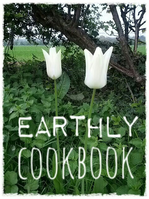 Good Clean Recipes made from Natural ingredients that mother nature gave us. Gluten, Soya, Diary, GMO free. Some are Vegan, Some Vegetarian but mostly Paleo.