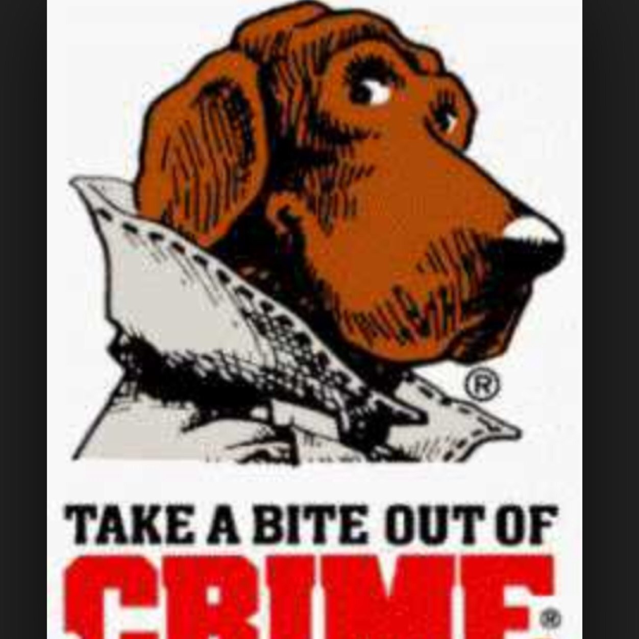 F3_Mcgruff the Crime Dog. Husband, Father, and South Carolina Gamecocks fan.