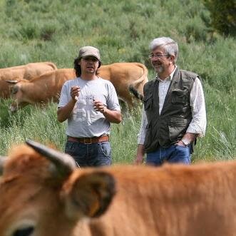 amo el campo y lo que emana de el