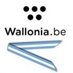Wallonia in Argentina (@awexargentine) Twitter profile photo