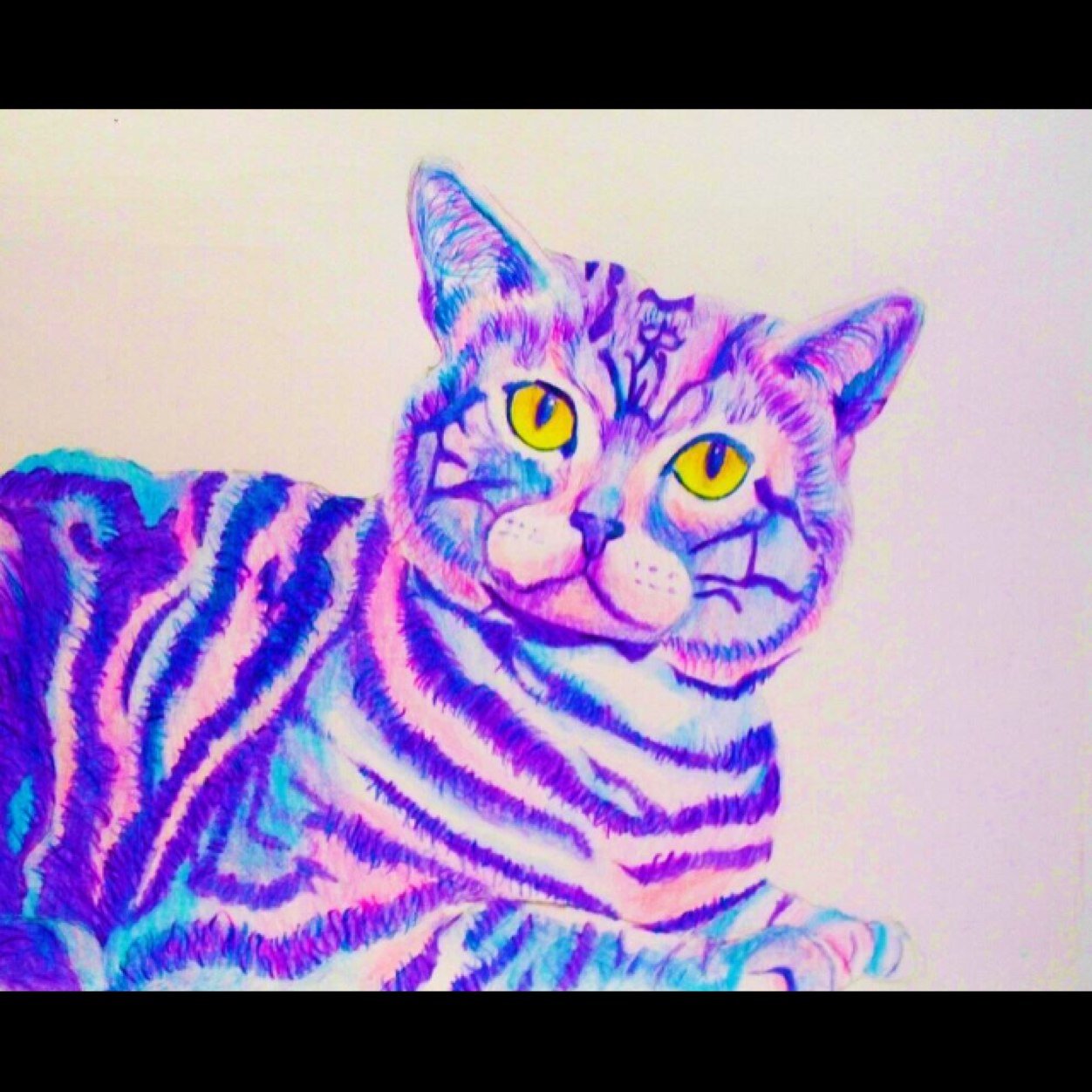 codeinecats's profile picture. 