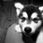 recomvanskidsbi's profile image