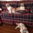 sharon derrick - @nicolemeg176 - Twitter