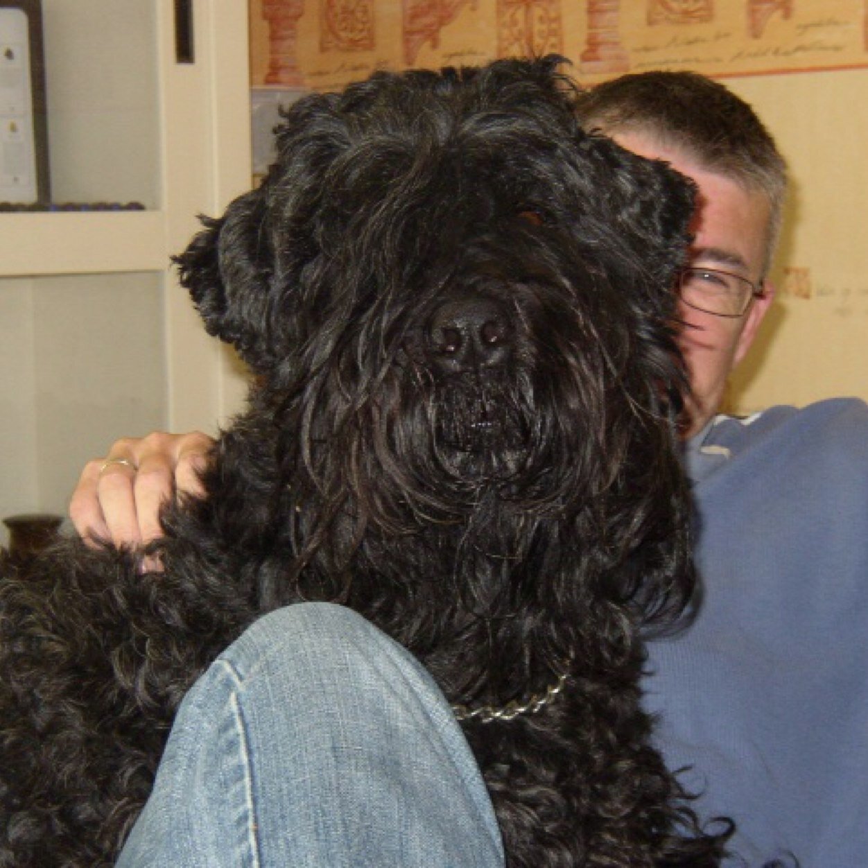 kempjan14's profile picture. Ik tweet niet veel meer, lees nog wel, palliatief.