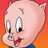 perky99's profile image