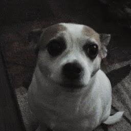 brenwinkler43's profile picture. 