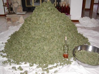 420 Legalize it! More medication in the streets than their is in the chemists! Never forget the first kiss with Marry Jane