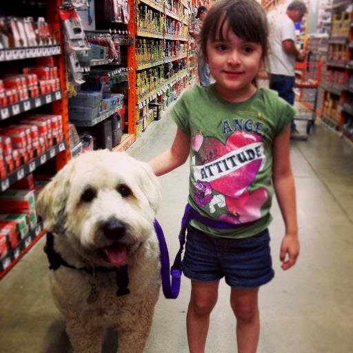 Devyn has Autism, Angelmans, & Epilepsy. Her service dog, Hannah helps her everyday! Devyn is non-verbal...But if she had a voice, this is what she'd say....