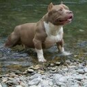 William Rincón - @willirinconm - Twitter