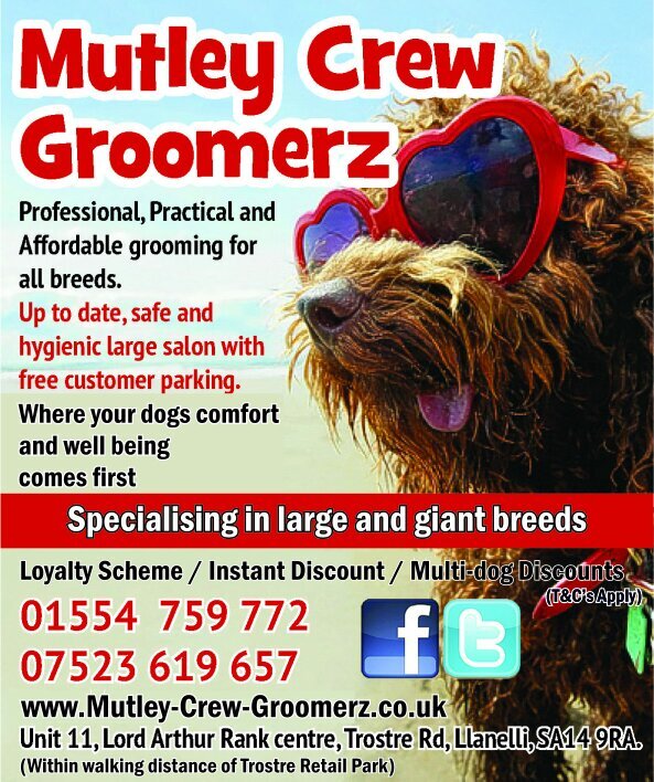 MutleyCrew1's profile picture. Doggy groomers,established in 2010,caring friendly and where ur petz comfort always comes first!, based in Trostre,Llanelli,South Wales,UK.