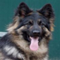 zeeeend (@zeeeend1) 's Twitter Profile Photo zeeeend (@zeeeend1) 's Twitter Profile Photo