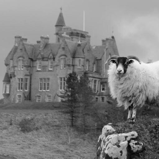 glengormcastle's profile picture. #Wildlife Walks, Coffee Shop & Accommodation on #Mull. Views over the Atlantic and Outer Hebrides. Farm and Market Garden supply quality meats & produce.