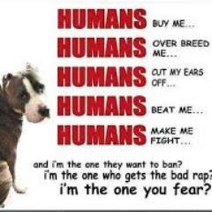 Matthewfletche4's profile picture. 