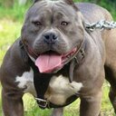 NANDO GONZÁLEZ - @clubedosambapy - Twitter