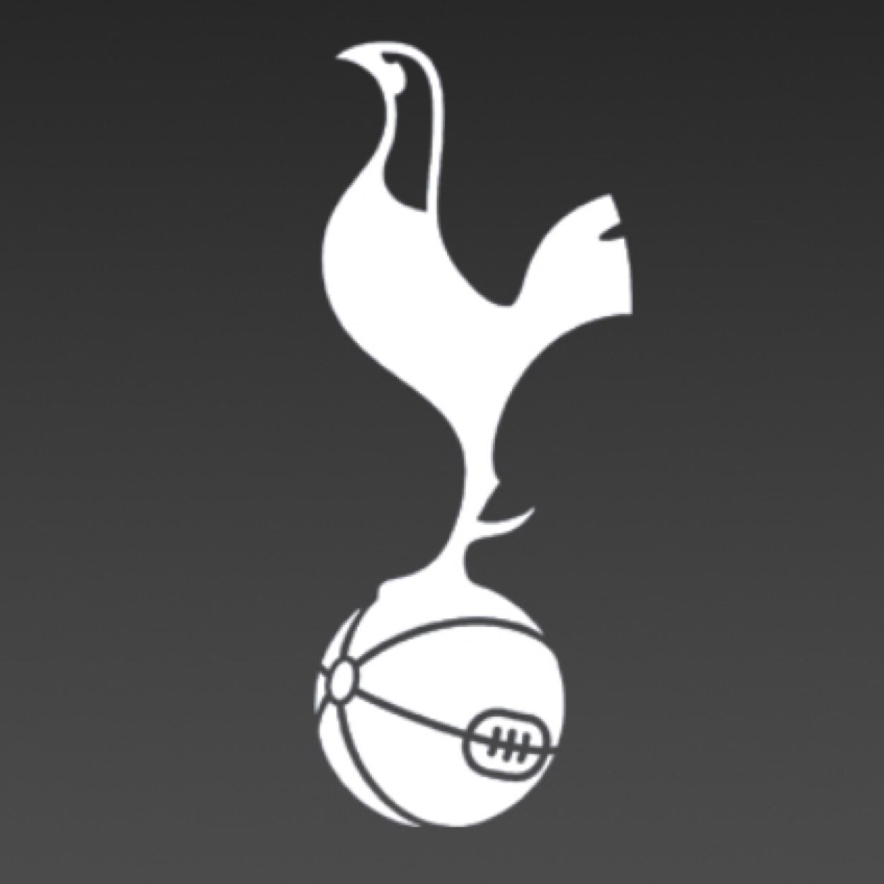 Family, Friends, Tottenham Hotspur FC. All views are my own.