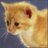 congfisarulor's profile image