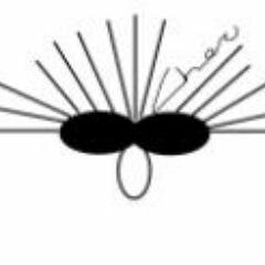 CherCoburn1's profile picture. I crochet in wool and then felt it. I call it Freestyle crofusion since I do not follow patterns. I found my crochet voice through the felting of the crochet.