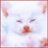 toljocimebubb's profile image