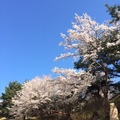 早稲田から高校生たちへ