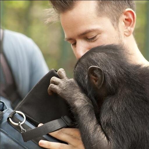 Wildlife show runner BBC Natural History Unit, producing HOME for Nat Geo. Father, music lover, birdwatcher. Enjoys IPAs, obscure cheese and sunny days