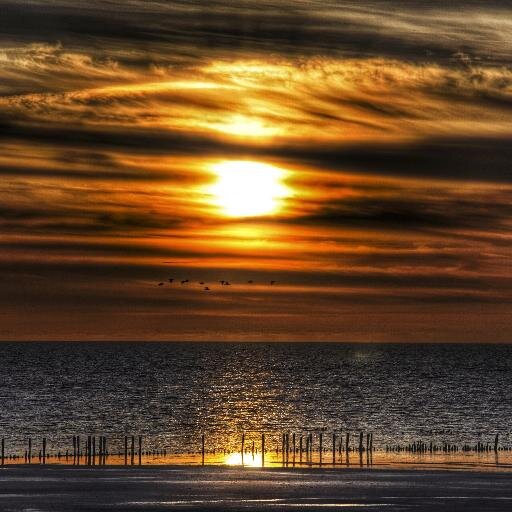 - DE ZEE KUST de WADDEN - VOOR DE LIEFHEBBER @DEZEEKUST - FB https://t.co/X752T3d72S…