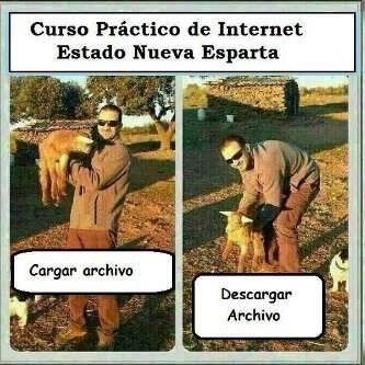 InggoGeea's profile picture. 