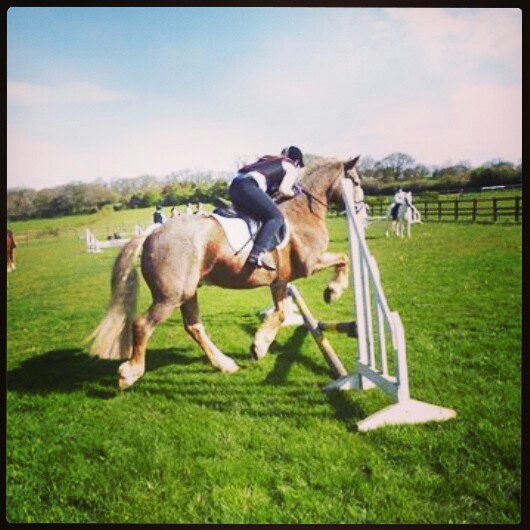 Horses and The Janoskians make my life!