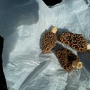 Mike Heuerman - @MikeHeuerman1 - Twitter