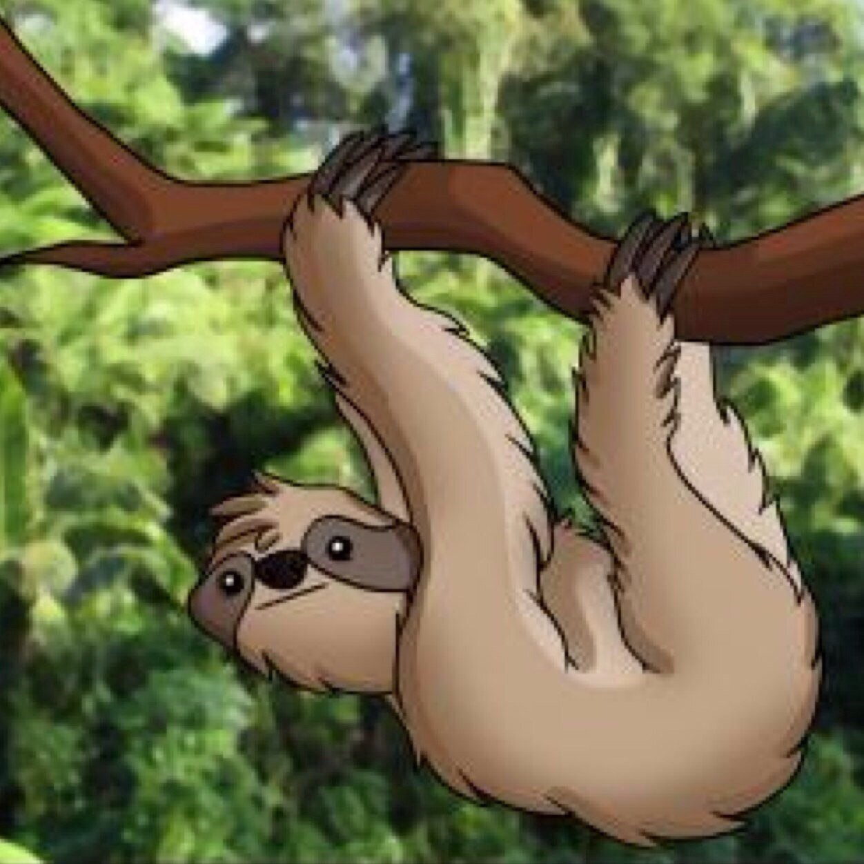 IM A SLOTH SO FOLLOW ME