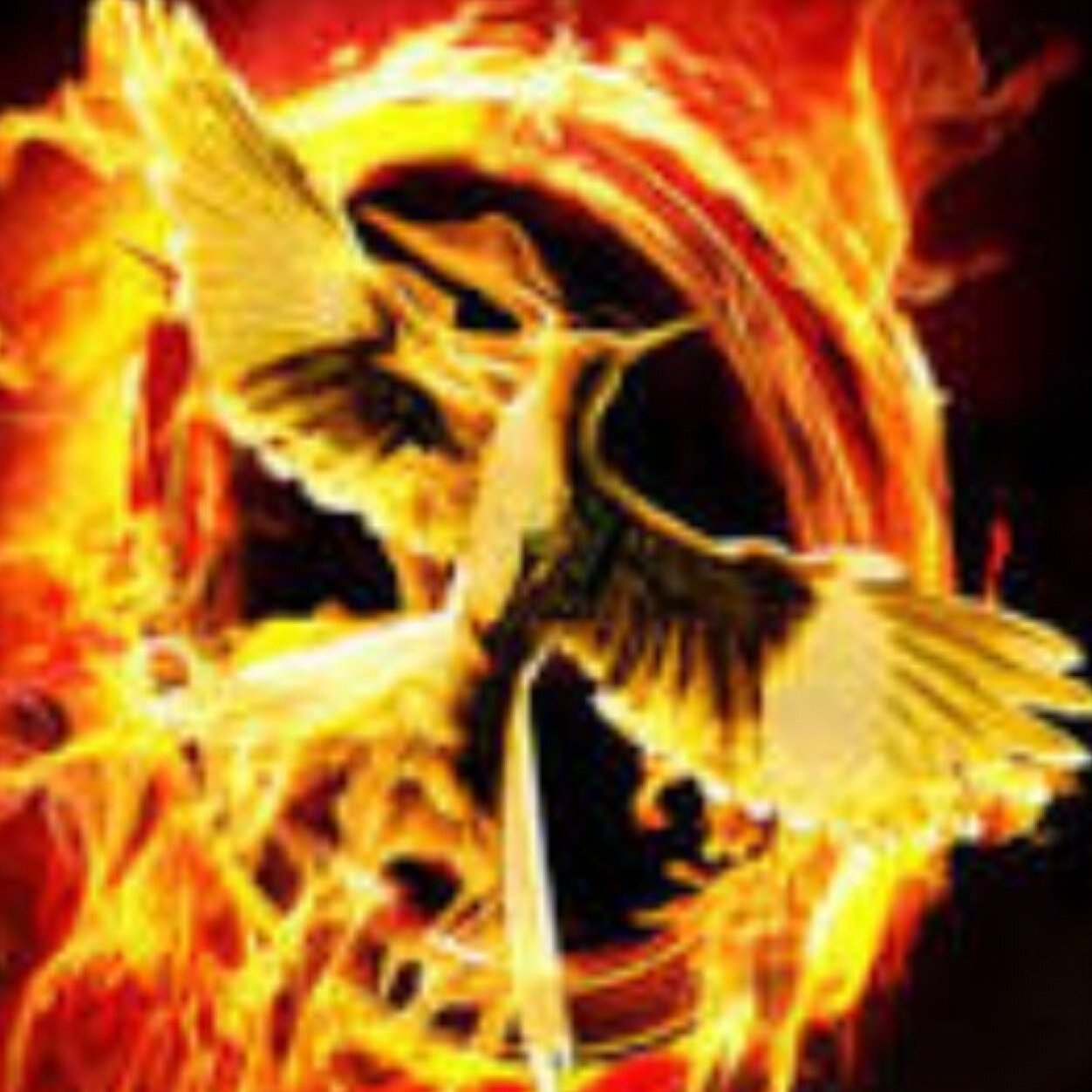 DM IF YOU WANT TO JOIN. WE HAVE DAILY HUNGER GAMES.