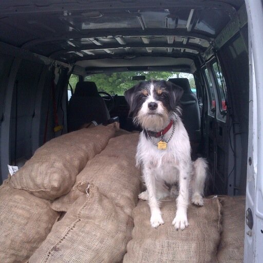 WaldingfieldCT's profile picture. Organic Vegetable Farmer