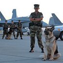 anthony haney - @anthonyhaney17 - Twitter