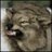 urcocomlituz's profile image