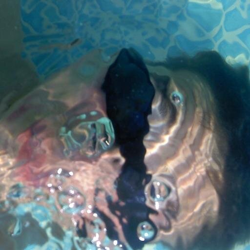 buzulux's profile picture. leje się