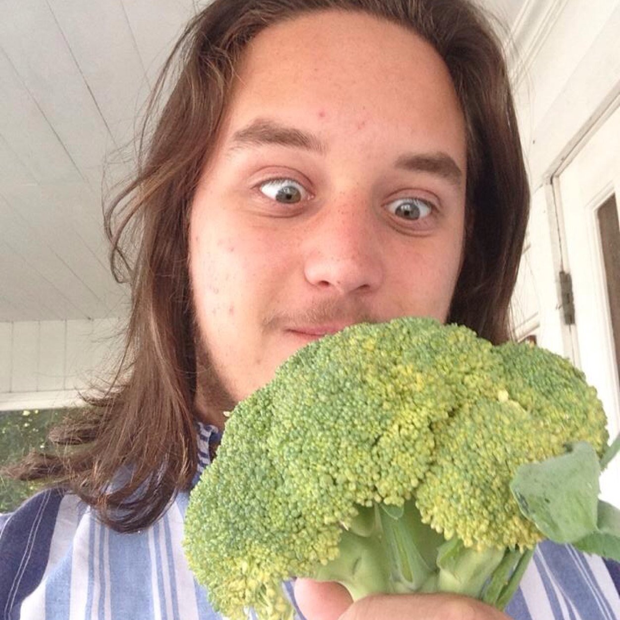 JackassJet's profile picture. 