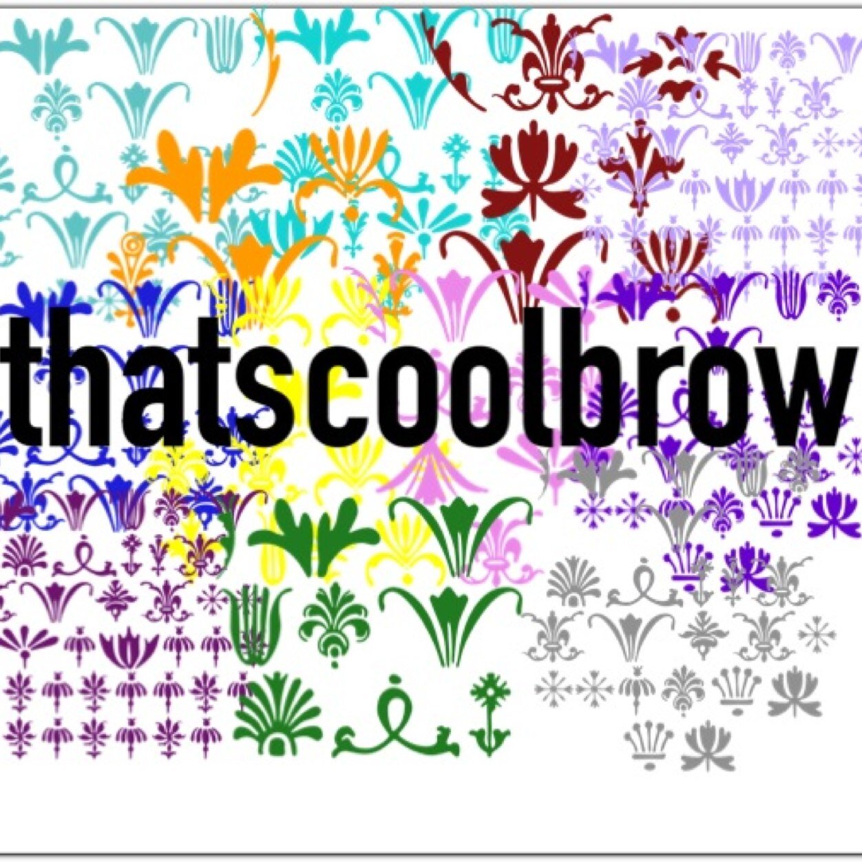 Follow @thatscoolbrow and get a follow back!!